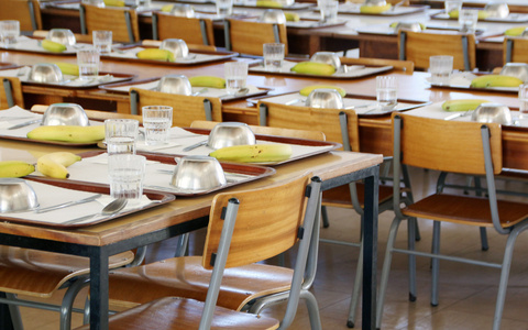 Prévention dans les restaurants scolaire près de Solesmes