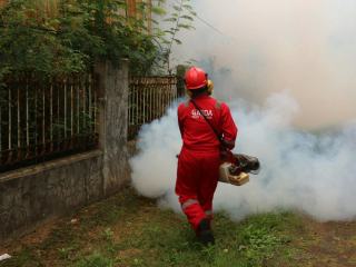 Nos interventions anti-nuisibles