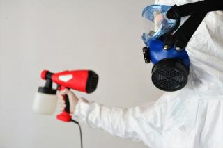 Nos réalisations : interventions anti-nuisibles en images