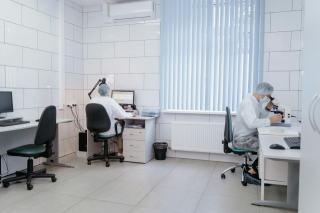 Plan de lutte contre les nuisibles en entreprise
