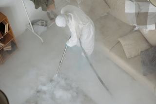 Désinfection après infestation : ce qu'un ménage ne suffit pas à faire