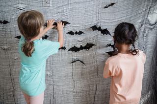 Grattements et bruit dans les murs la nuit, quel animal ?