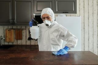 Nuisibles en restauration : obligations et solutions