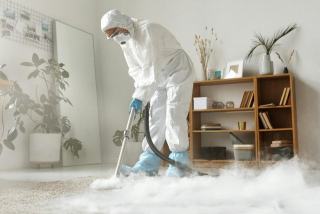 Dératisation de maison : méthodes et tarifs