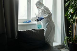 Désinsectisation cafard : traitement professionnel
