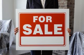 Désinsectisation avant une vente immobilière