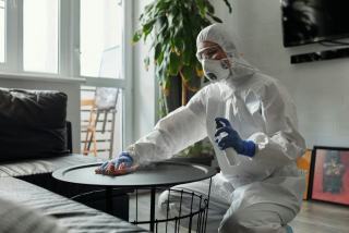 Traitement anti-nuisibles pour les professionnels